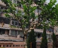 新德三村2室1厅南