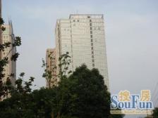 新虹桥捷运大厦 3室2厅 东北