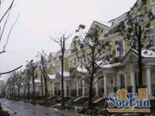 合生朗廷 五房设计 全新装修 800米地铁