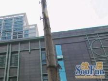 近和平公园电梯小三房,精装修!