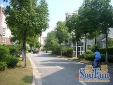 南郊花园(别墅) 4室2厅 南