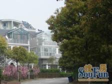 南郊花园(别墅) 4室2厅 南