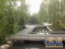 南北双花园 揽阔景赏四季 理想生活即刻拥有