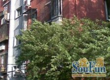 南京西路·西王小区·1室·0厅