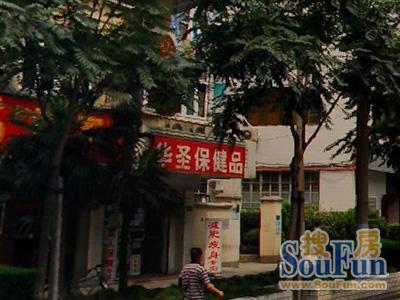 打浦路210弄小区实景图
