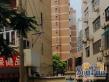 打浦路210弄小区实景图