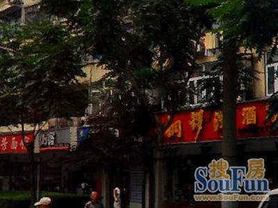 打浦路210弄小区实景图