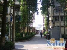 襄阳南路公房,精装南北通3房,向阳和位育,中间楼层边套