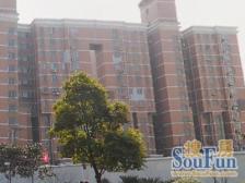 地铁1号线500米户型好楼层佳满五年诚意出售