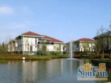 海湾低Chao便宜独栋别墅满屋随时可以看房