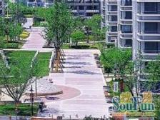 百合苑一楼带大花园 满五年 近宝龙商圈五号线 物业好