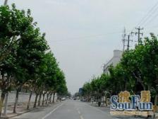 好房出售,好户型,好价格,好地段!采光充足!