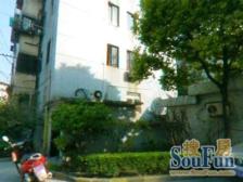 仙霞·锦苑公寓·3室·1厅