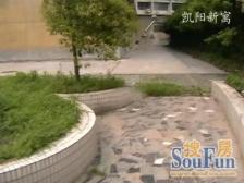 凯阳新寓 1室1厅 南