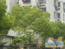 三林·品诚苑·4室·2厅