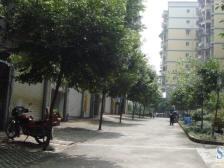 双轻轨 新都汇旁 小区有车库 住家安静