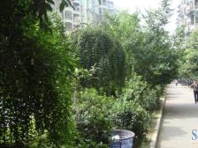 回兴 方泰花园四房75万