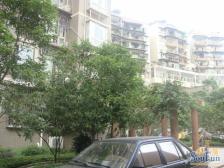 中间层 视野开阔 业主诚心出手 看房方便