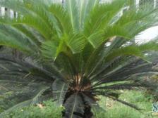 精装大两房 中间楼层 业主诚心出售