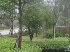 回兴 蓝色星空金牛座三房85万