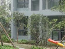 回兴 水木年华三房104万