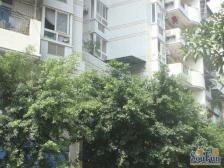 回兴 金福花园(渝北)二房51.5万