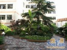 低密度小洋房,一梯两户,近大柏树,车位宽松