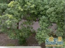 上海蓝堡6室南朝向2095.00万元/套出售