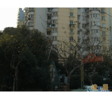 采光无遮挡近地铁口张园太古汇旁,南京西路人民广场