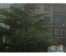 采光无遮挡近地铁口张园太古汇旁,南京西路人民广场