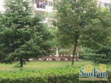 新华苑 3室1厅 东 南