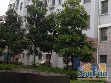 次顶楼一房一厅看房方便~满WEI一