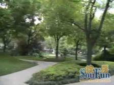 电梯房,小户型,交通便利,繁华地段,精装修,诚意出售,精装好房