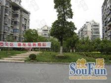 泰宸舒庭5室南朝向520.00万元/套出售