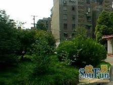 新上房源,满五,一梯一户,全明户型,中间楼层,