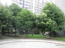 朝阳逸景3室1厅西南