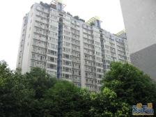 朝阳逸景3室2厅东南