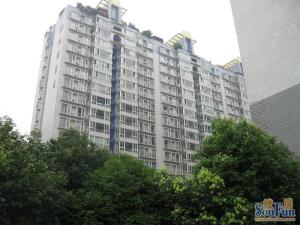 朝阳逸景 1室1厅 西南