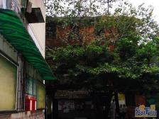 沙坪坝汉渝路几百米花一层价使用两层领包入住楼梯房