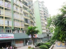 凤天锦园小高层【板式结构,南北通透】绿化50% 安静