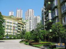 凤天锦园【东南向 板式结构】绿化50% 安静不西晒 方便