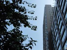 加州新牌坊 加州一号二房