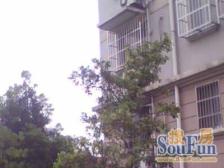 大三房带朝南车库剑平18康桥地铁