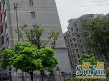 沪上绿宝石,东森花园新上全明飞机户型,前排景观房!