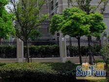 品质小区,环境优美,诚意出售,精装好房