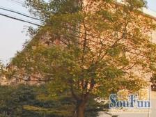 满五年大三房,钥匙房,永德路商圈,交通生活方便