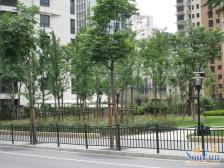 热门小区,经典户型,环境优美,车位充足