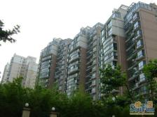 :高区朝南全明一房税费各付,楼层好,板式结构