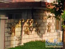 彭浦 · 新德公寓(静安) · 1室 · 1厅