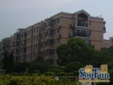 这个位置的花园别墅这个总价找不到第二个三代人住